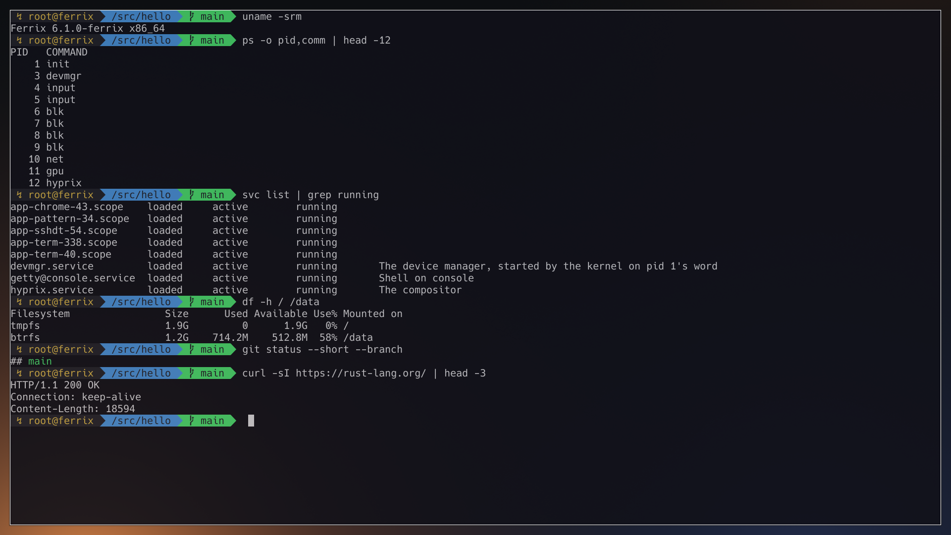 Ferrix: a Rust operating system that runs Linux apps